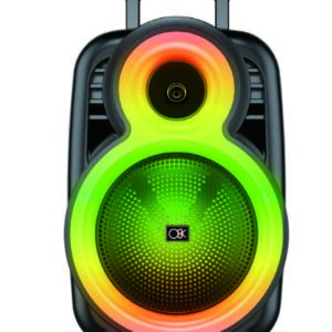 קריוקי מקצועי 12 אינץ + מיקרופון אלחוטי