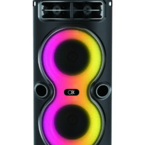 רמקול קריוקי כפול 4 אינץ עם מיקרופון