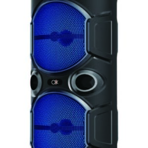 רמקול קריוקי 2 רמקולים 6.5 אינץ' + מיקרופון