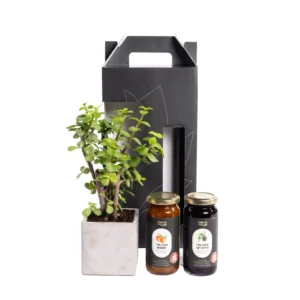 מארז מתוק מהטבע