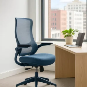 כיסא כפיר כחול