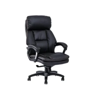 כיסא מנהלים אור